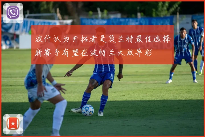 波什认为开拓者是莫兰特最佳选择新赛季有望在波特兰大放异彩